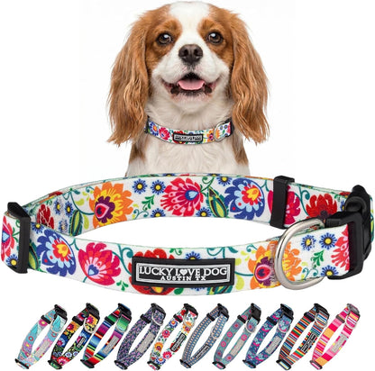 Lucky Love Dog - Easy Click Buckle Dog Collar with Leash Set Combo, Durable & Comfortable for Male & Female Dogs, Pet Collar for Medium Dogs, Secure Fit - Blackbird Combo, Medium70