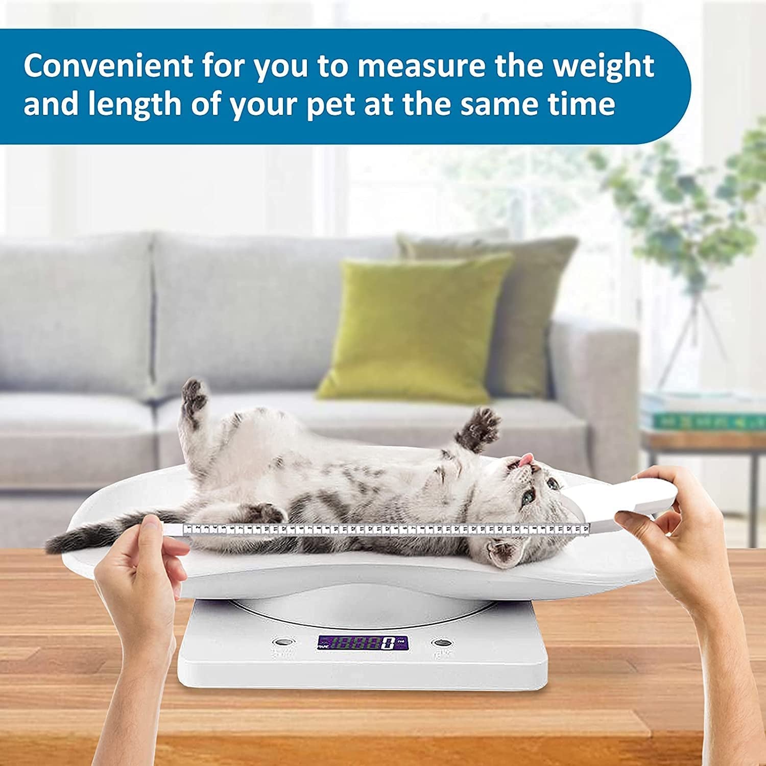 digital-small-animals-scales-for-weighing-with-tape-measure-puppy-whelping-scale-weigh-your-kitten-rabbit-with-high-precision-multifunction-electronic-baby-scales-for-small-dogs
