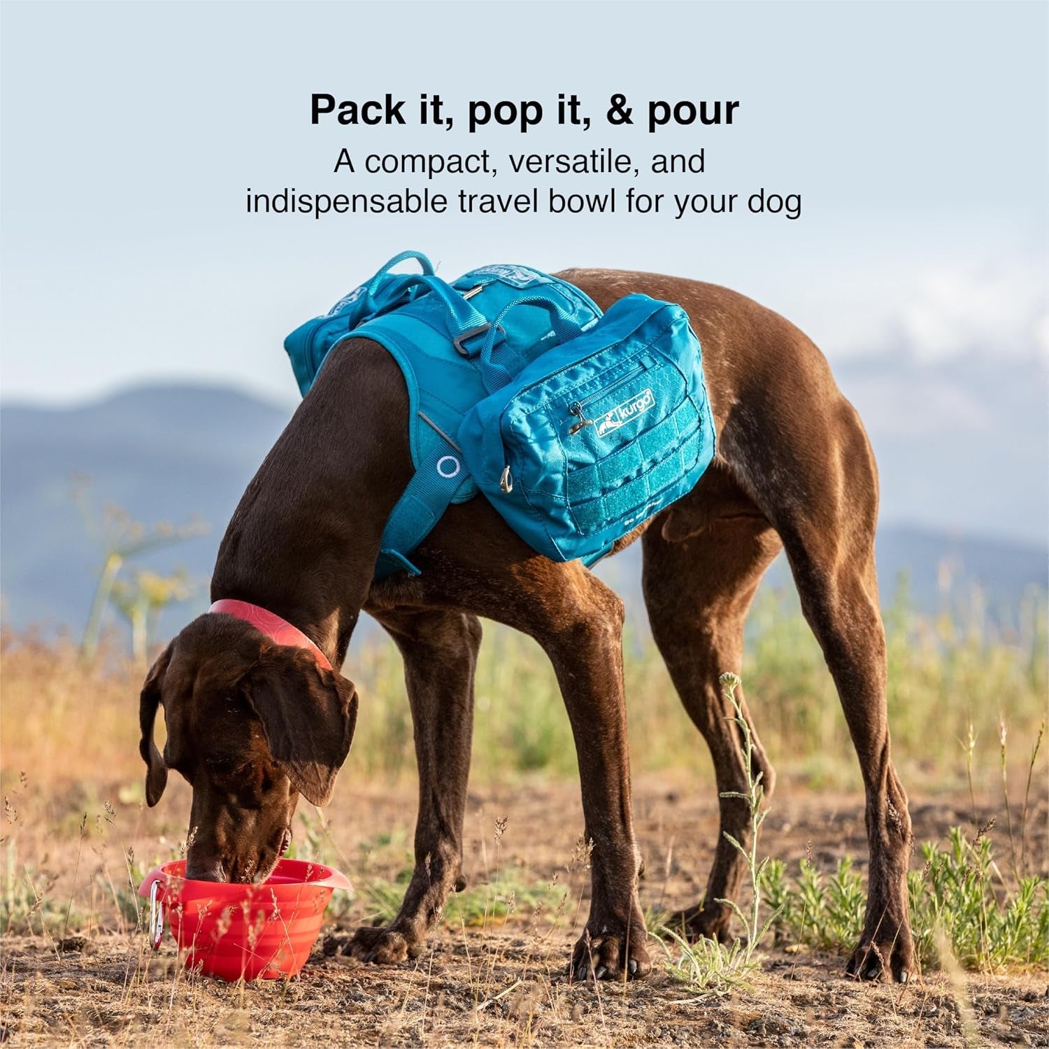 kurgo-collaps-a-bowl-barn-red-collapsible-travel-dog-bowl-holds-up-to-24oz-food-grade-silicone-pvc-bpa-free-dishwasher-safe-includes-carabiner-clip