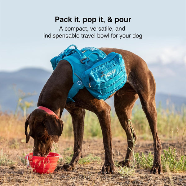 Kurgo Collaps-A-Bowl, Barn Red | Collapsible Travel Dog Bowl, Holds up to 24Oz, Food-Grade Silicone, PVC & Bpa-Free, Dishwasher Safe, Includes Carabiner Clip2