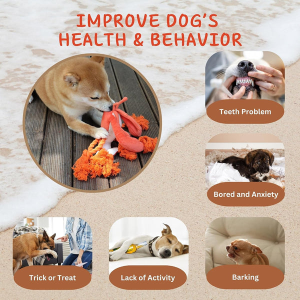 Large Squeaky Dog Toys, Tough Plush Lobster with Rope Tug of War for Puppy, Small, Medium, Large Dogs, Interactive Stuffed Chew Toy to Keep Them Busy6