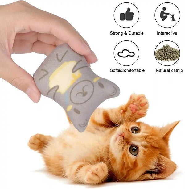 Catnip Toys for Indoor Cats - 5PCS Plush Cat Chew Toys Teething Interactive Catnip Filled Kitten Toy Soft Pet Toy4