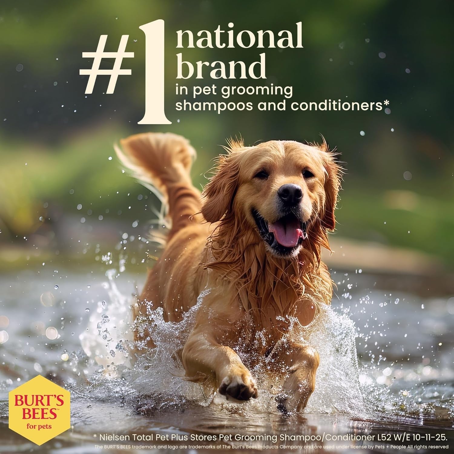 burts-bees-for-pets-waterless-shampoo-spray-with-apple-honey-10-fl-oz-no-rinse-waterless-formula-ph-balanced-ideal-for-quick-touch-ups-between-full-baths-no-sulfates-parabens-or-phthalates