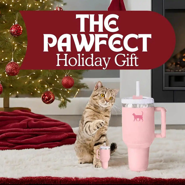 PUPROAR Kitty Cup Catnip Cat Toy, Cat Birthday Gift & Cute Girly Accessory, Crinkle Toy for Indoor Cats (Pink Peach Dust)8