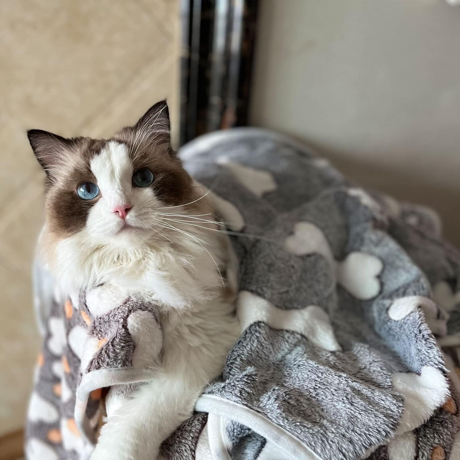 1-pack-3-puppy-blankets-super-soft-warm-sleep-mat-grey-cute-print-blanket-fluffy-fleece-pet-blanket-flannel-throw-dog-blankets-for-small-dogs-puppy-dogs-fluffy-cats-bone-small23x15