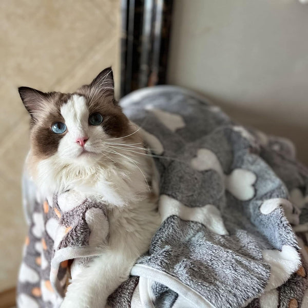 1 Pack 3 Puppy Blankets Super Soft Warm Sleep Mat Grey Cute Print Blanket Fluffy Fleece Pet Blanket Flannel Throw Dog Blankets for Small Dogs Puppy Dogs Fluffy Cats,Bone-Small(23"X15")7