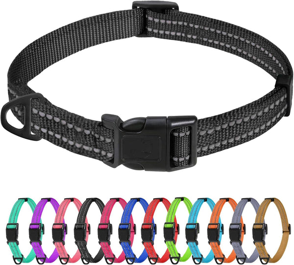 Tagme Small Dog Collar, Reflective Puppy Collar, Sky Blue, 3/8" Width | Lightweight, Nylon Collar for Puppies, Chihuahua, Yorkie & Teacup Dogs 5-15 Lbs, Reflective for Evening Walks, 12 Colors39