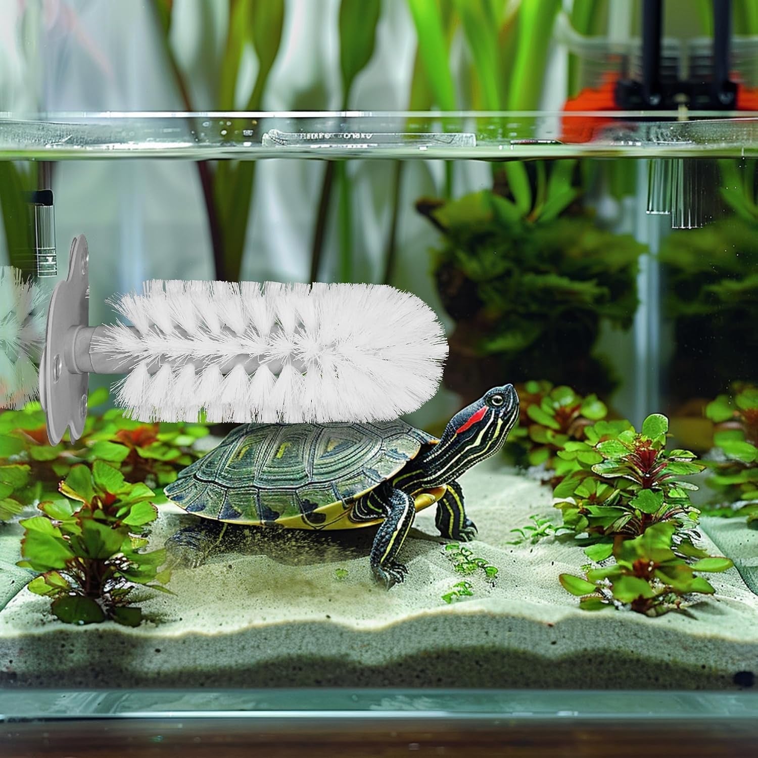 turtle-brush-with-suction-cup-for-tank-three-high-suction-power-suction-cup-turtle-shell-cleaning-brush-white