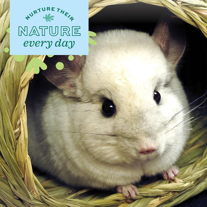 Oxbow Timothy Hay Bungalow, Guinea Pig Hideout & Rabbit House, Large | Bunny Hideout, Rabbit Hide, Guinea Pig House, Hand-Woven, Timothy Hay for Guinea Pigs, Chinchillas and Rats, Edible4
