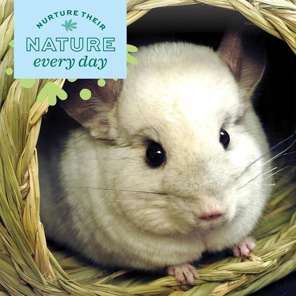 Oxbow Timothy Hay Bungalow, Guinea Pig Hideout & Rabbit House, Large | Bunny Hideout, Rabbit Hide, Guinea Pig House, Hand-Woven, Timothy Hay for Guinea Pigs, Chinchillas and Rats, Edible4