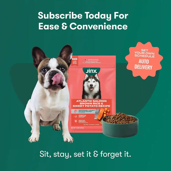 Jinx Dry Dog Food - Real Salmon, Brown Rice & Sweet Potato, 4Lb | Premium Kibble for Digestive Support & Healthy Immunity - No Fillers, All Lifestages (Puppy, Adult & Senior), Breeds & Sizes11