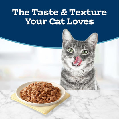 Blue Buffalo Tastefuls Tender Morsels Chicken Entrée Adult Wet Cat Food in Savory Sauce, Natural Ingredients Enhanced with Vitamins, Minerals & Other Nutrients, 3-Oz. Cans (24 Count)4