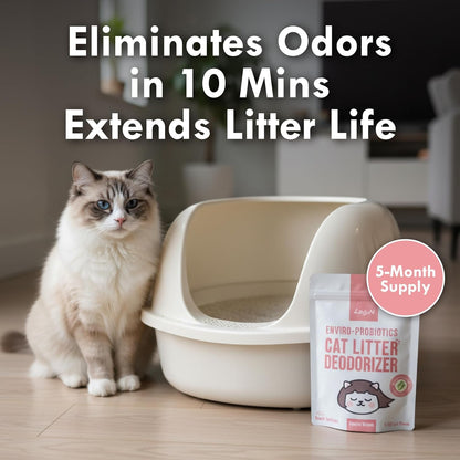 Welcome Home Cat Kit – Attractant Granular Tofu Litter & Deodorizer for Automatic Boxes | Strong Clumping, Odor Control, Easy Cleanup6