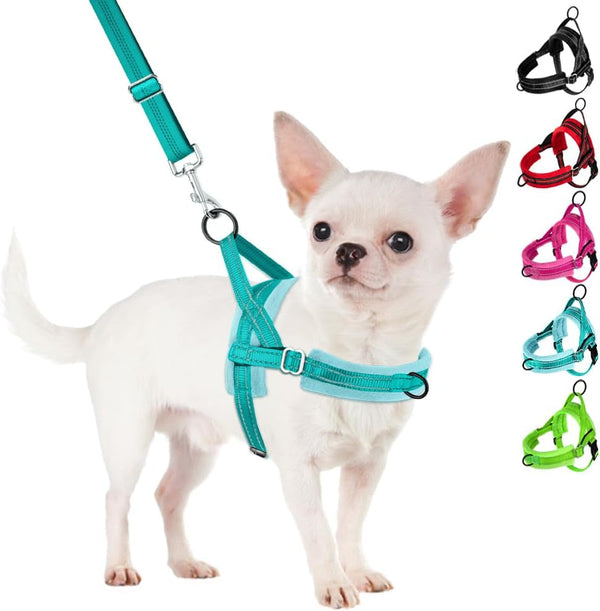 Slowton No Pull Small Dog Harness and Leash Set, Puppy Soft Vest Harness Neck & Chest Adjustable, Reflective Lightweight Harness & Anti-Twist Pet Lead Combo for Small Medium Dogs (Fuchsia, XXS)16