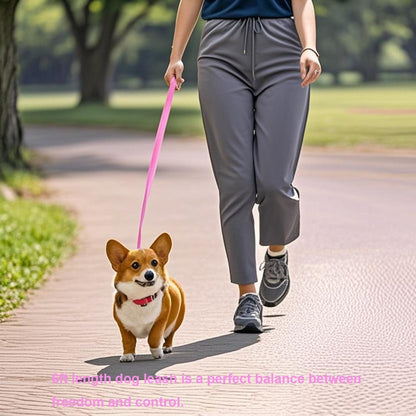 6 FT Puppy Leashes, Strong Traditional Style Leash with Easy to Use Collar Hook,Dog Lead Great for Small and Medium and Large Dog (Pink, 5/8 in X 6 Ft)2