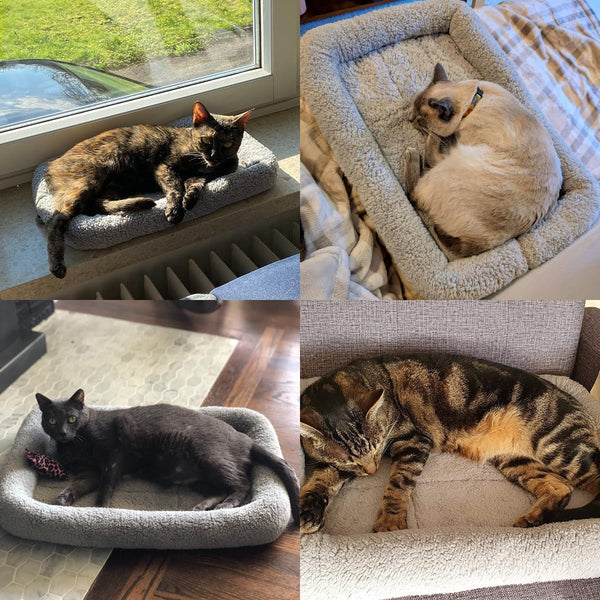 LESYPET Cat Bed for Indoor Cats, Soft Cat Cushion with Cat Pillow Around, Rectangle Kitten Pad Small Bed for Window Sill, 15'' X 10''6