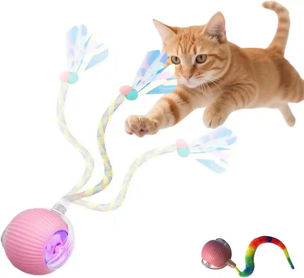 Interactive Dog Cat Toy Ball, Upgraded Rechargable Rolling Pet Ball with 2 Tails, Smart Automatic Moving Toy for Bored Indoor Kitty Puppy -Pink1
