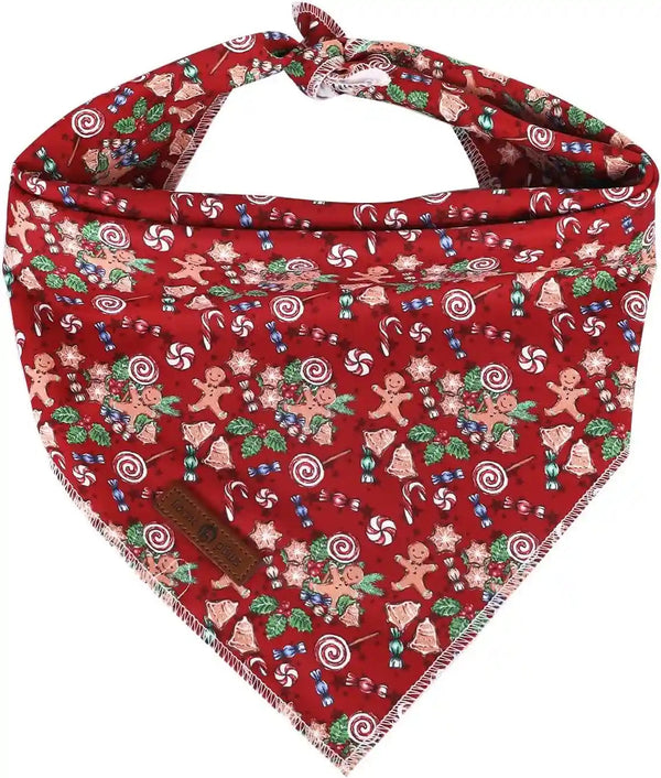 Lionet Paws Dog Bandana for Small Medium Large Dogs, Cat Kerchief Blue DOIT, Triangle Bibs Scarf for Girl or Boy29