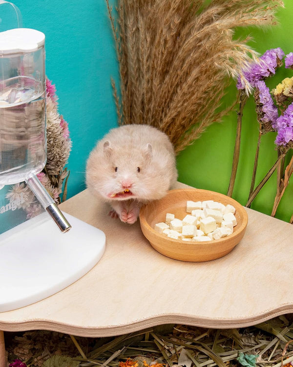 Niteangel Hamster Snack & Treats Toy - Freeze-Dried Tofu No Additive | Delivers Essential Vitamins & Minerals- Small Animal Natural Treat for Dwarf Syrian Hamsters Gerbils Mice Degus or Small Pets3