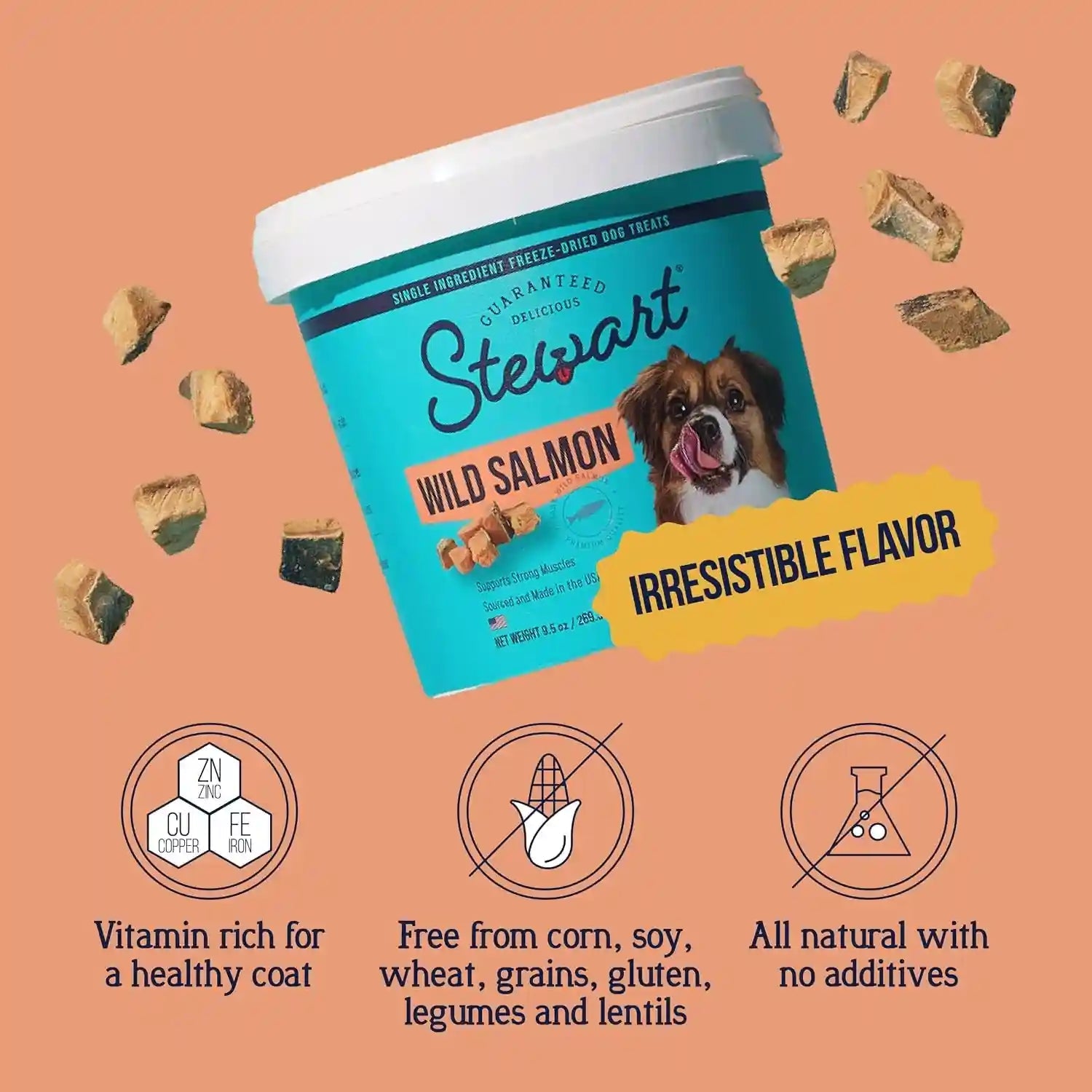 stewart-freeze-dried-dog-treats-100-wild-salmon-9-5-oz-tub-premium-quality-raw-protein-single-ingredient-high-protein-training-treats-food-topper-no-refrigeration-cat-friendly