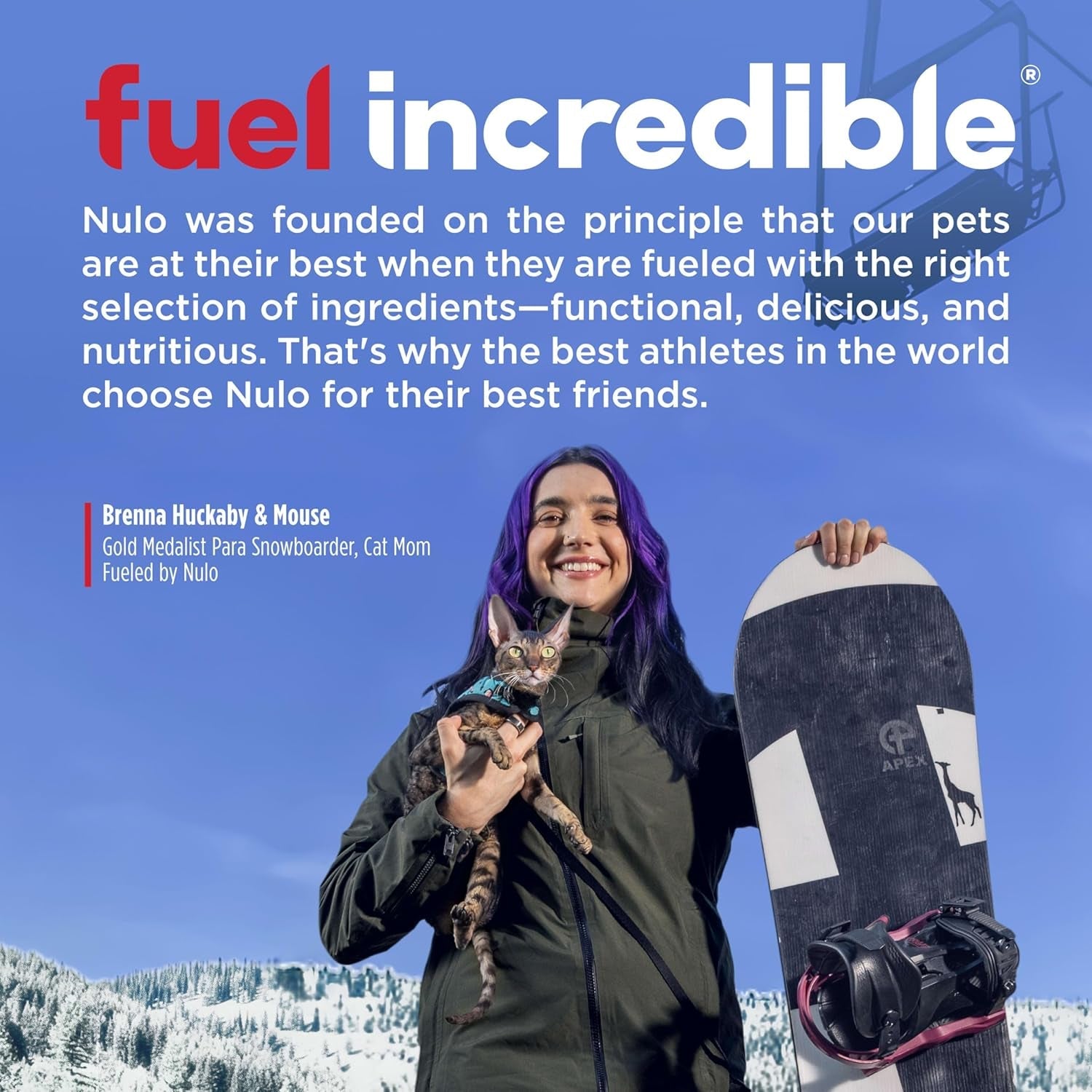 nulo-freestyle-senior-dry-cat-food-alaska-pollock-sweet-potato-high-protein-natural-grain-free-cat-food-with-probiotics-and-l-carnitine-4lb-bag
