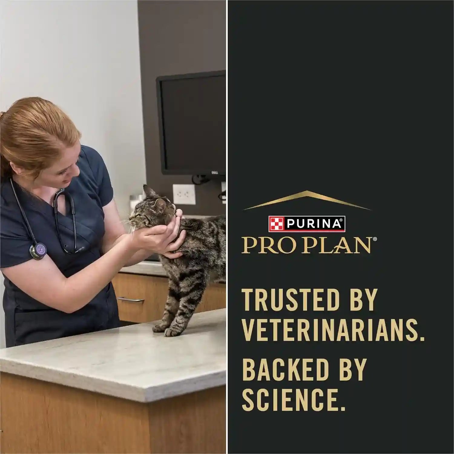 purina-pro-plan-sensitive-skin-and-stomach-senior-cat-food-salmon-and-rice-formula-3-5-lb
