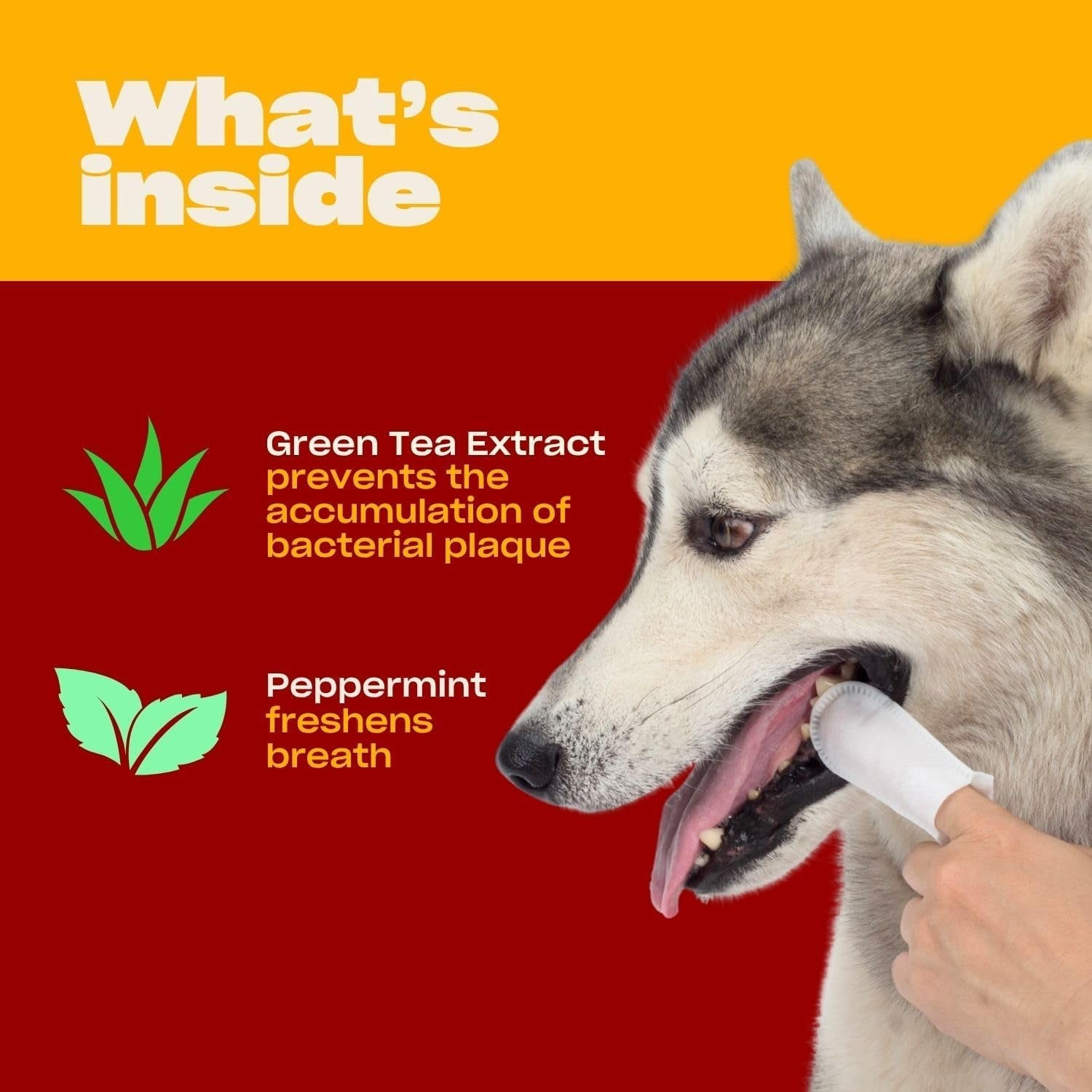oh-norman-dog-dental-finger-wipes-fresh-breath-vet-developed-50-ct-vet-reviewed-finger-wipes-with-peppermint-green-tea-extract-remove-plaque-freshen-breath-no-fuss-dental-cleaning