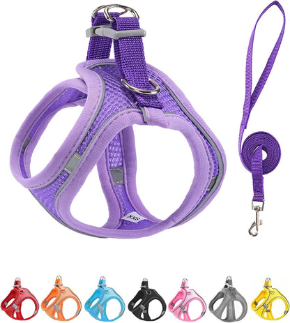 XXXS Pink Soft Mesh Dog Harness and Leash Set,No Escape Puppy Harnesses for Training Walking， Reflective Adjustable Puppy Vest for Small Medium Dogs, Cats (Pink, XXXS)12