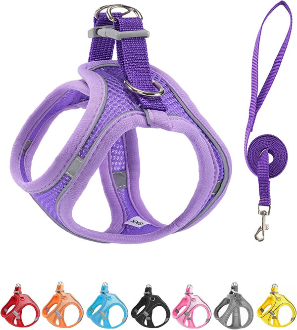 XXXS Pink Soft Mesh Dog Harness and Leash Set,No Escape Puppy Harnesses for Training Walking， Reflective Adjustable Puppy Vest for Small Medium Dogs, Cats (Pink, XXXS)12