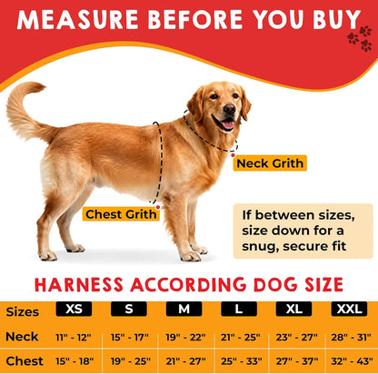 Service Dog Vest, ID Tag 50 ADA Information Cards - Harness with Patchs - M | MEDIUM (Chest: 21.5 - 26 Inch) Durable Metal Tag, 2-Sided Service Animal Cards. ESA Accessory Set2