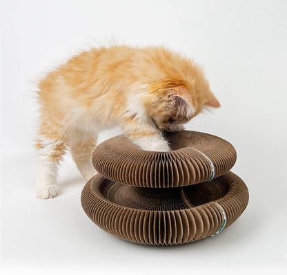 Magic Organ Cat Scratching Board & Accordion Toy - Cat Butler Snuffle Paw Cardboard Slinky7