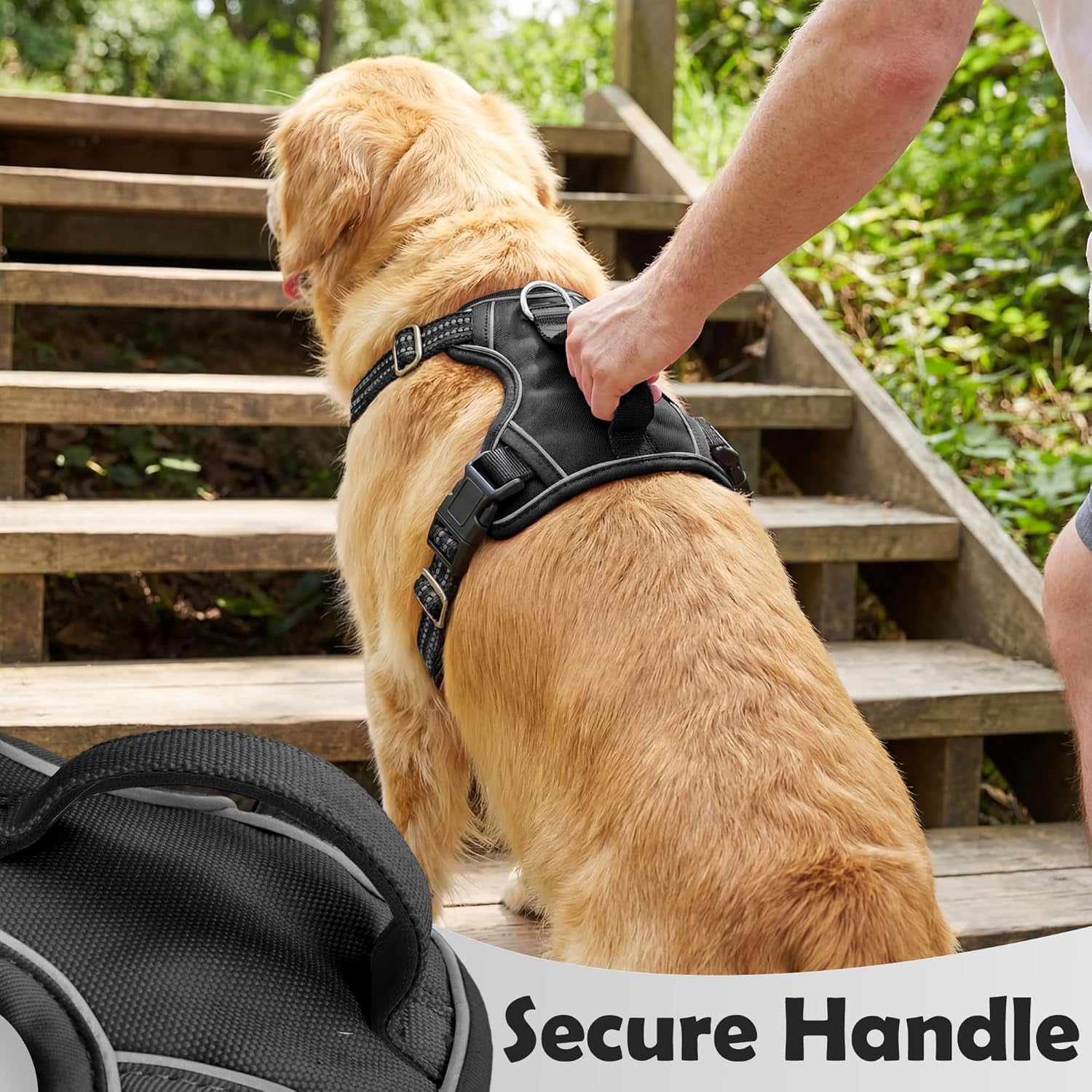 funfox-dog-harness-medium-sized-dog-vertical-handle-easy-control-no-pull-pet-vest-adjustable-with-2-leash-clips-soft-material-reflective-safe-night-walking-for-small-medium-large-breed-black-m