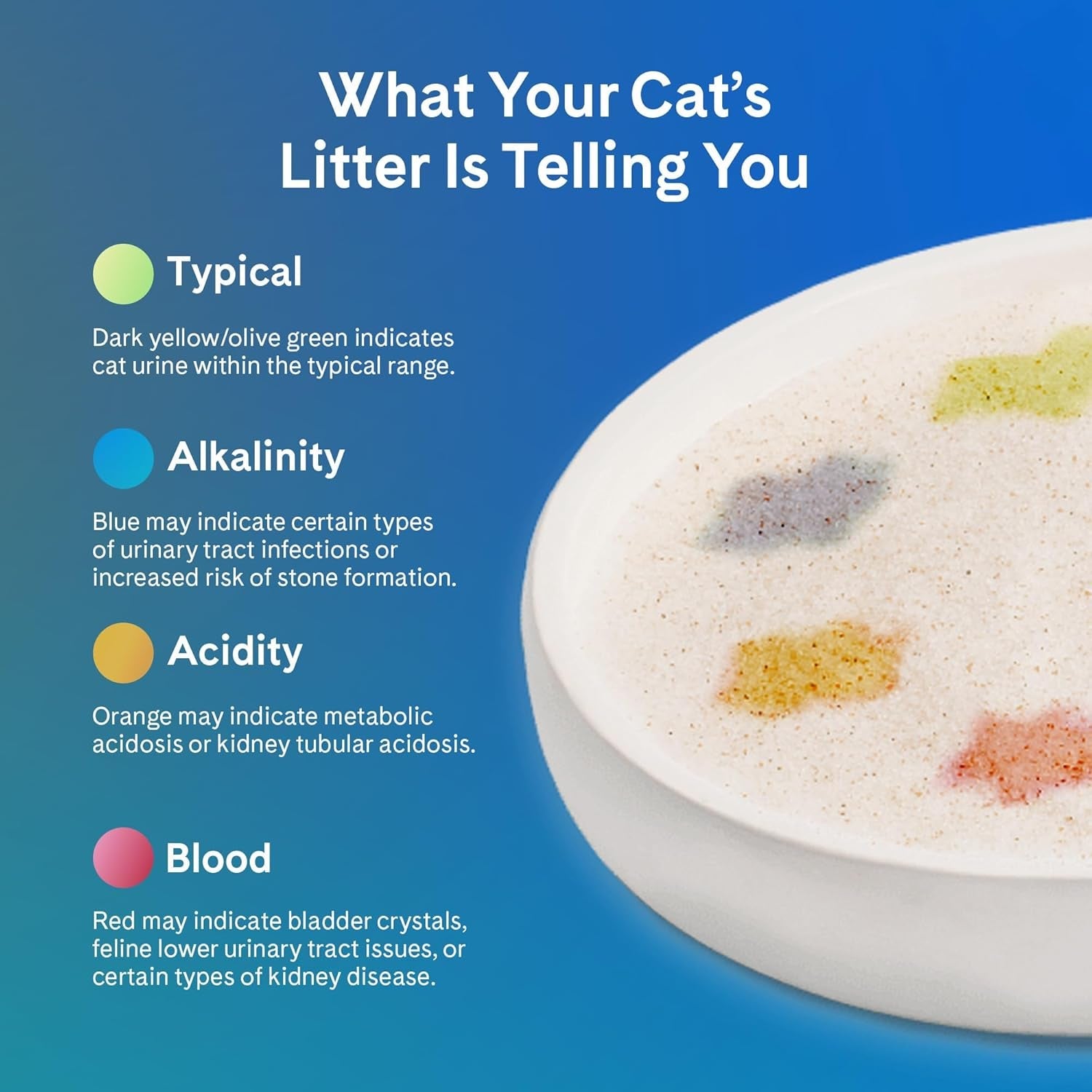 prettylitter-health-monitoring-cat-litter-unscented-non-clumping-lightweight-low-tracking-color-changing-silica-gel-crystals-advanced-odor-control-6-lbs-pack-of-2-up-to-2-month-supply