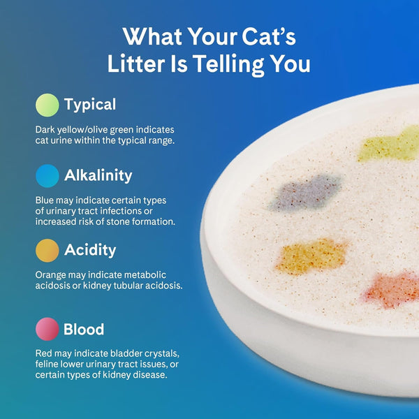 Prettylitter Health Monitoring Cat Litter (Unscented, Non Clumping) | Lightweight & Low Tracking, Color Changing Silica Gel Crystals, Advanced Odor Control — 6 Lbs, Pack of 2 (Up to 2 Month Supply)6