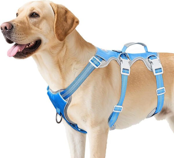 Huntboo Escape Proof Dog Harness, Escape Artist Harness, Reflective Harness with Padded Handle, Breathable, Durable, Adjustable Vest for Medium Dogs Walking, Training, and Running Gear (Blue, M)18