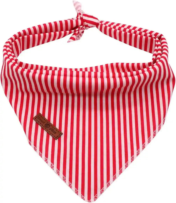 Lionet Paws Dog Bandana for Small Medium Large Dogs, Cat Kerchief Blue DOIT, Triangle Bibs Scarf for Girl or Boy24