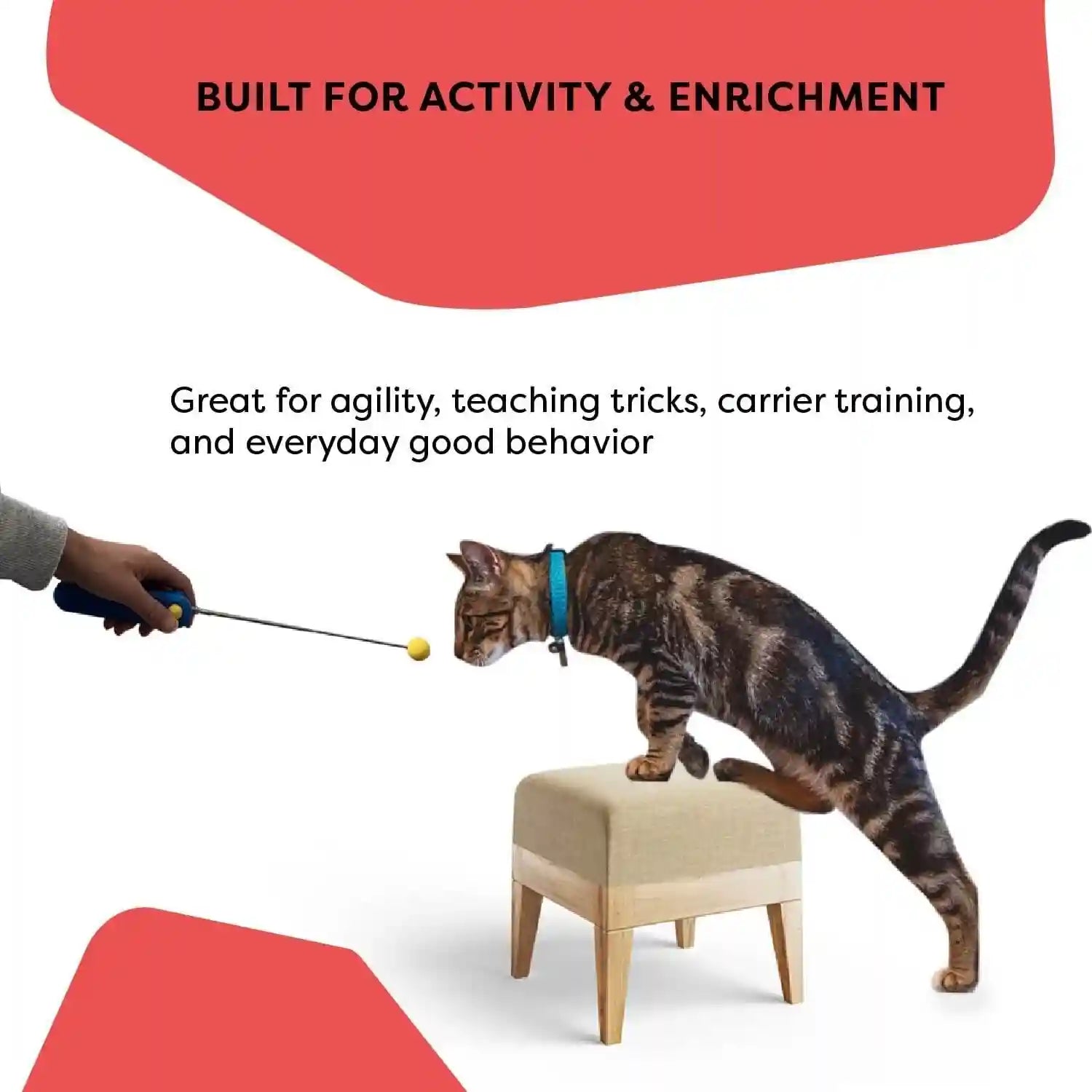 cat-training-clicker-with-detachable-wearable-finger-clicker-target-stick-positive-reinforcement-training-tool-for-cats-ideal-for-behavior-tricks-enrichment