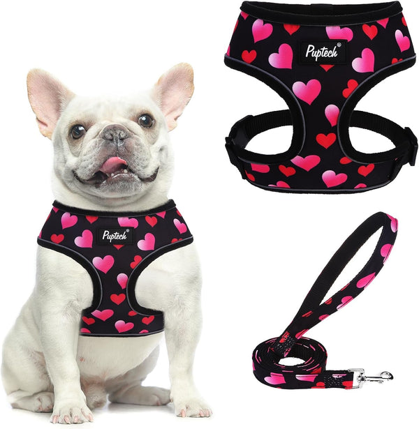 PUPTECK Soft Mesh Dog Harness Small Sized and Leash Set Pet Puppy Cat Comfort Padded Vest No Pull Harnesses, Beige, S24