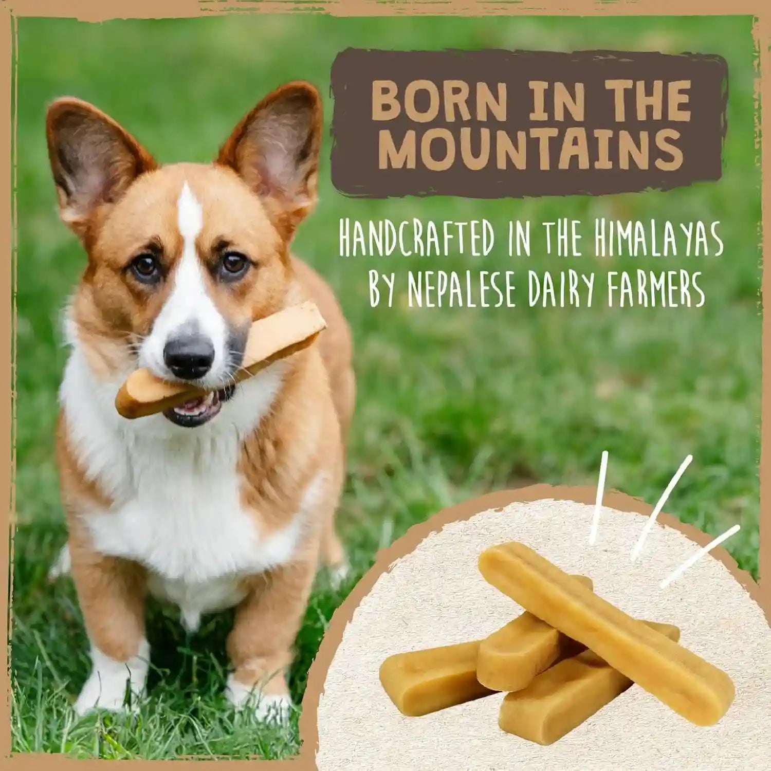 mighty-paw-yak-chews-long-lasting-hard-chew-for-large-dogs-4-pack-milk-salt-lime-juice-grain-free-lactose-free-odor-free-68g-protein-per-stick-aggressive-chewers-puppy-teething