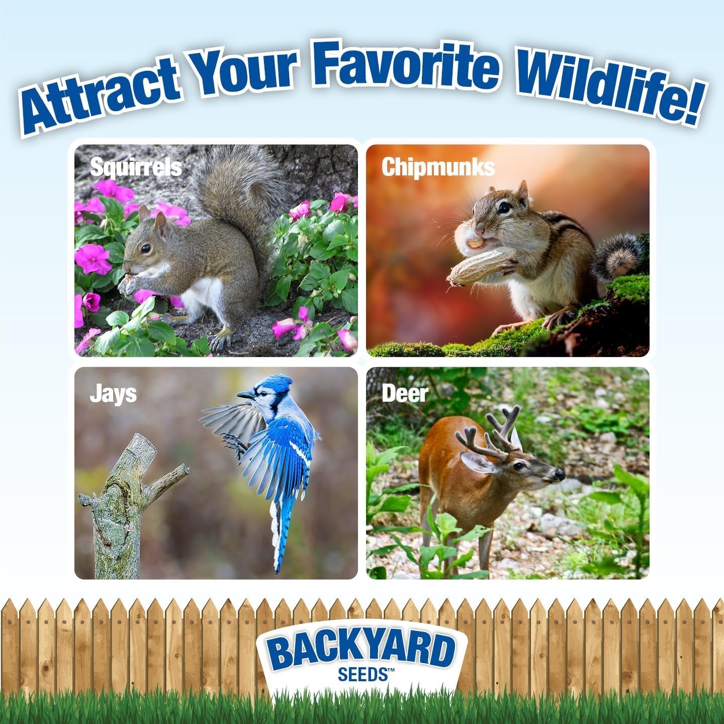 countrymax-backyard-seeds-squirrel-and-friends-wildlife-feed-20-lb-non-gmo-mix-for-squirrels-deer-birds-rabbits-chipmunks-more-all-natural-backyard-animal-food