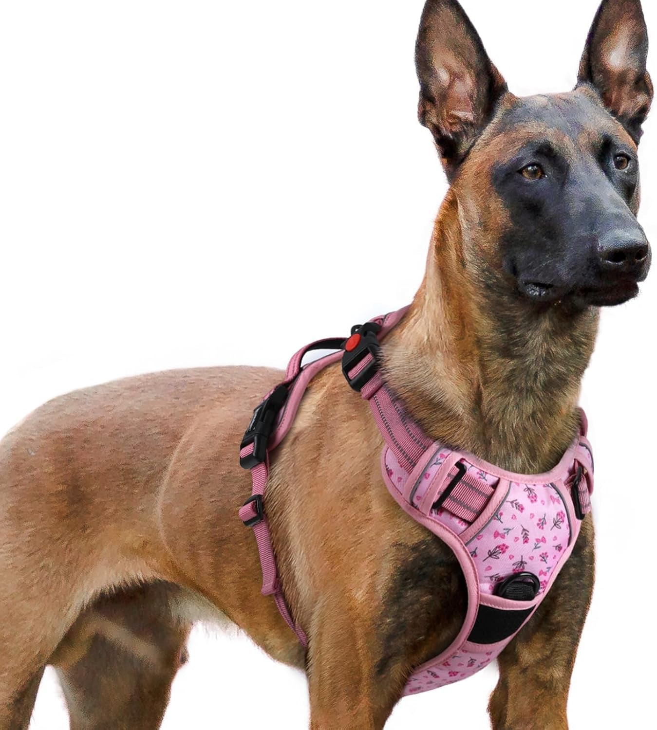 rabbitgoo-dog-harness-medium-sized-updated-easy-on-off-with-3-buckles-no-pull-no-choke-walking-with-2-clips-and-handle-adjustable-soft-reflective-blue-medium