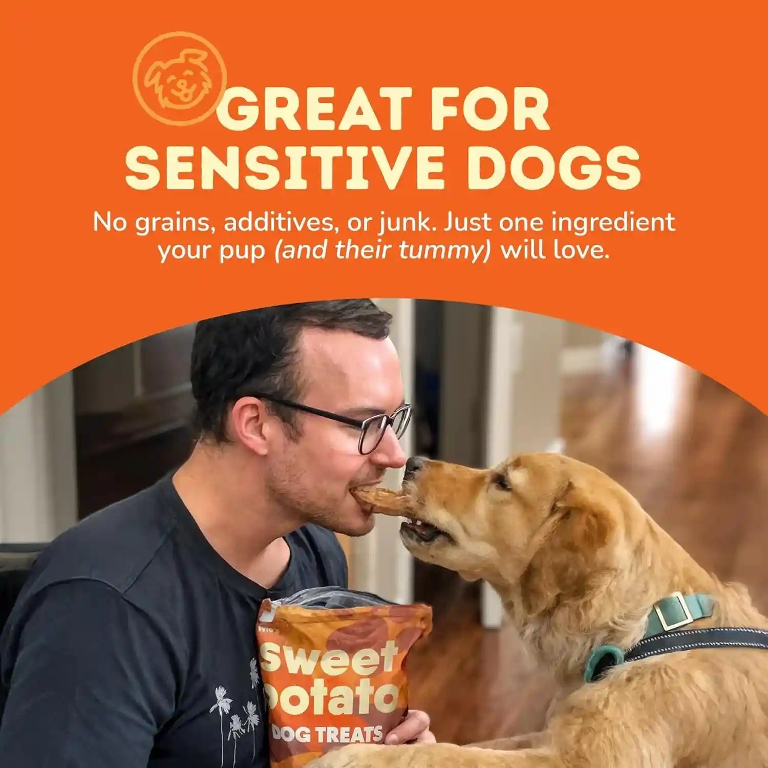 davies-sweet-potato-dog-treats-healthy-natural-dog-chews-low-fat-1-lb-bag