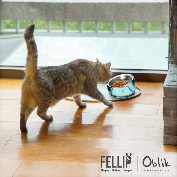 Felli Oblik Elevated Cat Bowl Removable Stainless Steel Wide Dish for Dry Wet Food Feeding & Dishwasher Clean, Slanted Whisker Fatigue Friendly Metal Plate (Classic, 0.5 Cups Shallow Dish)9