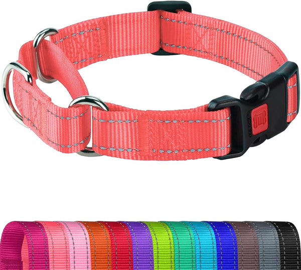 Joytale Martingale Collar for Dogs, Escape Proof No Pull, Hotpink, M | Gentle Cinch Stops Pulling without Choking, Safety Lock Buckle, Reflective Stitching for Night Walks, Soft Nylon10