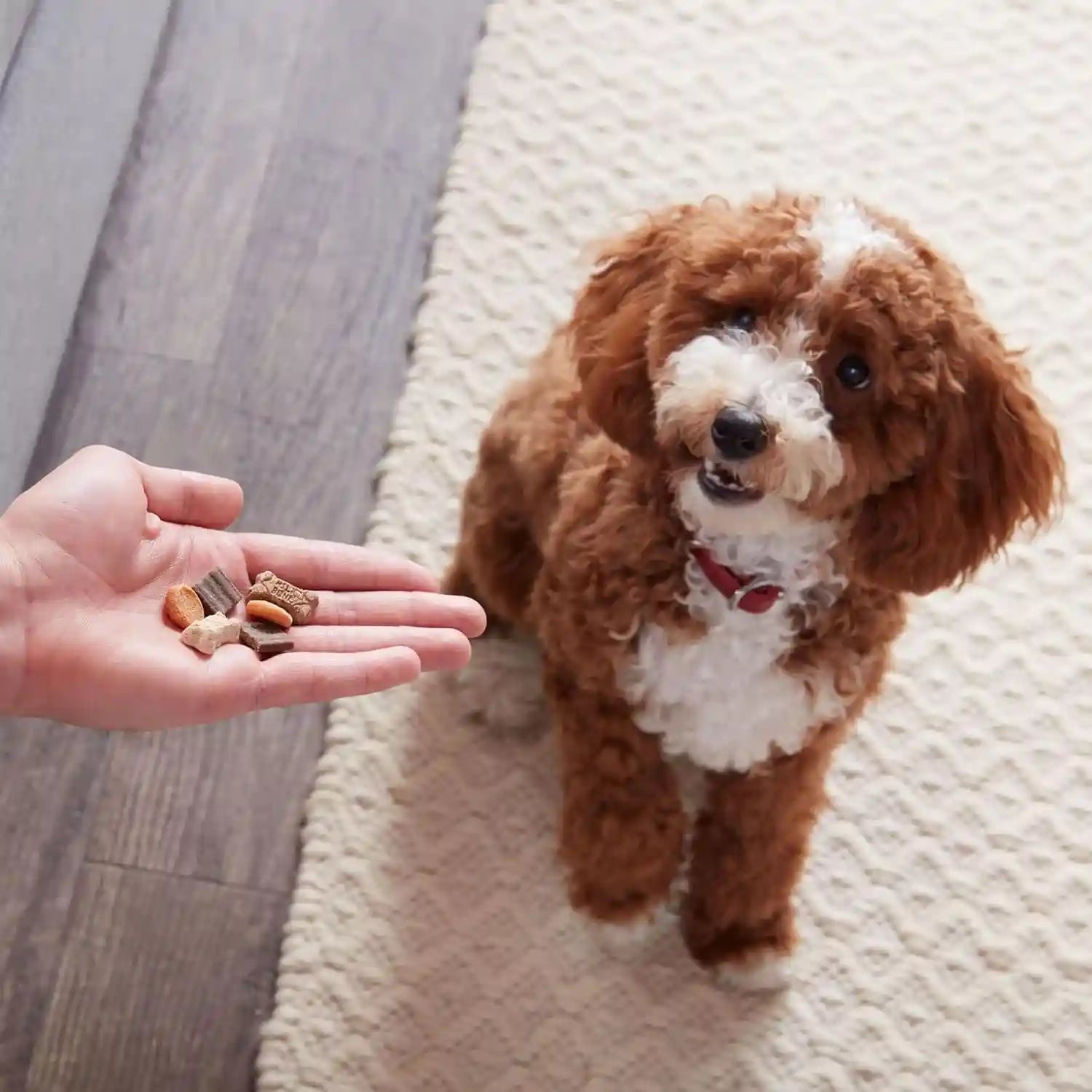 milk-bone-trail-mix-dog-treats-real-beef-sweet-potato-flavor-20-ounces-made-with-real-beef-sweet-potato-bite-sized-dog-treats-in-a-mix-of-fun-shapes-and-textures