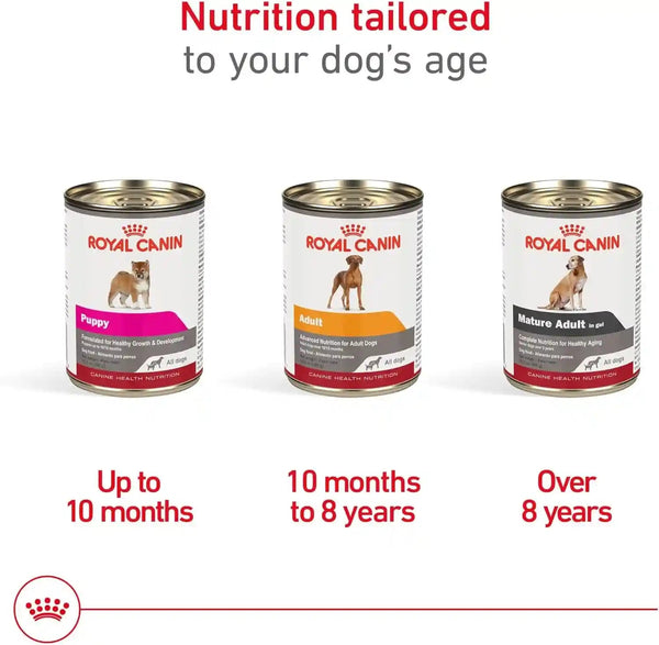ROYAL CANIN Canine Health Nutrition Adult in Gel Dog Food, 13.5 Oz (Pack of 12)4