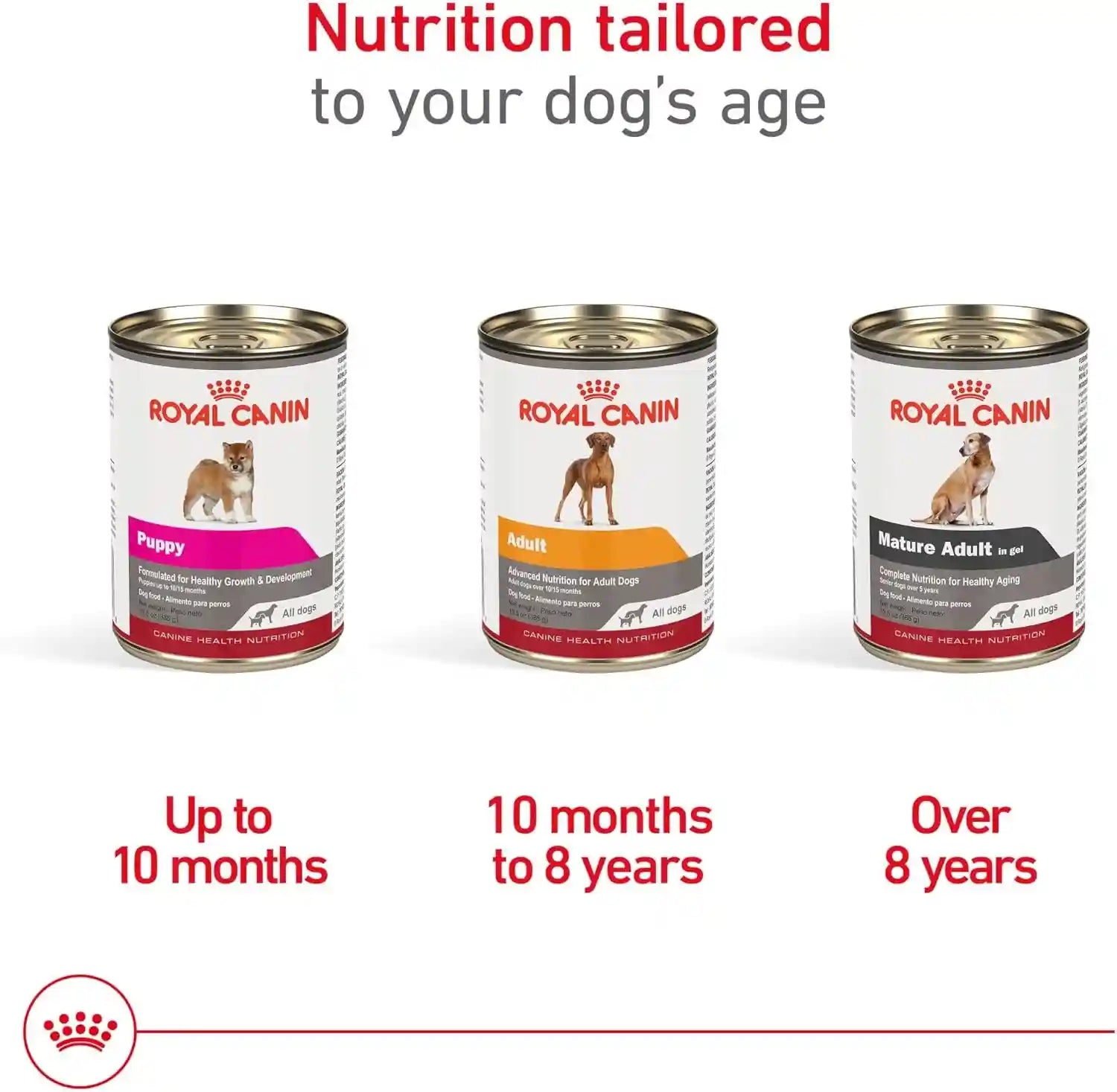 royal-canin-canine-health-nutrition-adult-in-gel-dog-food-13-5-oz-pack-of-12