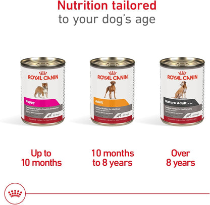 ROYAL CANIN Canine Health Nutrition Adult in Gel Dog Food, 13.5 Oz (Pack of 12)4