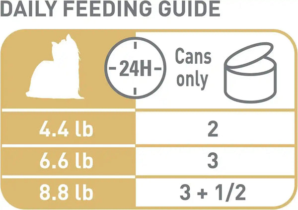 Royal Canin Breed Health Nutrition Yorkshire Terrier Adult Loaf in Sauce Dog Food, 3 Oz (Pack of 6)8