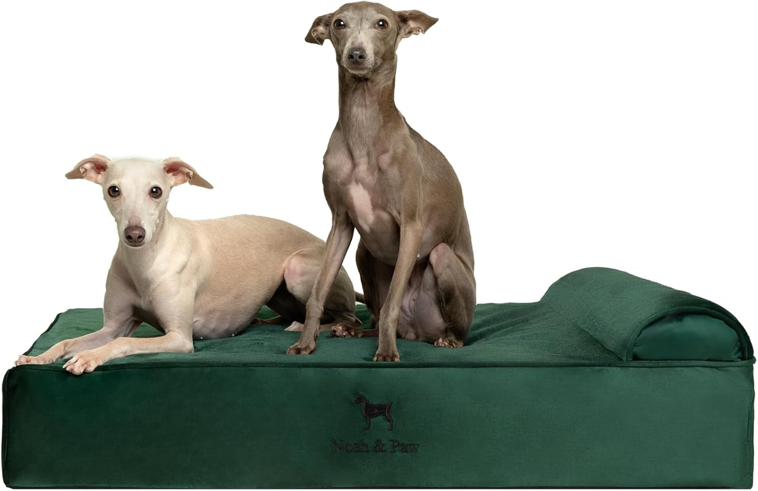 noah-paw-large-dog-bed-35x25x8-7-inch-orthopedic-dog-beds-eggshell-memory-foam-infused-with-cooling-gel-water-resistant-machine-washable-includes-inner-cover-velvet-collection